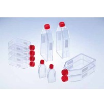 CELL CULTURE FLASK