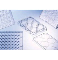 96 Well Microplates